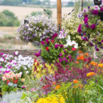 ιδέες διακόσμησης για τον κήπο, την αυλή & το μπαλκόνι σας22
