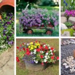 DIY συνθέσεις λουλουδιών κήπου