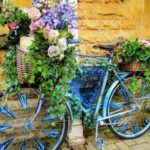 DIY γλάστρες από παλιά ποδήλατα2