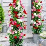 DIY πύργος λουλουδιών για τον κήπο9