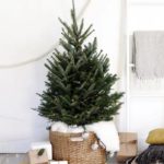 Μινιμαλιστικές ιδέες Χριστουγεννιάτικων δέντρων6