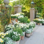 ιδέες κήπου με γλάστρες για την άνοιξη17