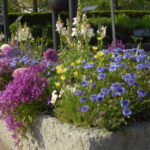 ιδέες κήπου με γλάστρες για την άνοιξη33