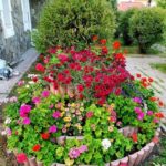 flower garden ideas11