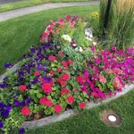 flower garden ideas13