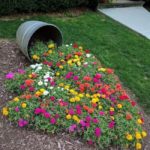 flower garden ideas8